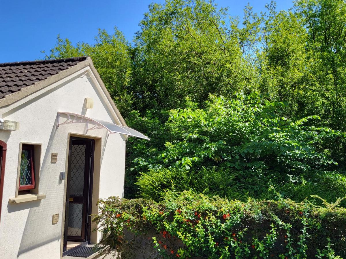 Oak Cottage 3 Km From Rock Of Cashel Cashel (Tipperary) Exterior foto