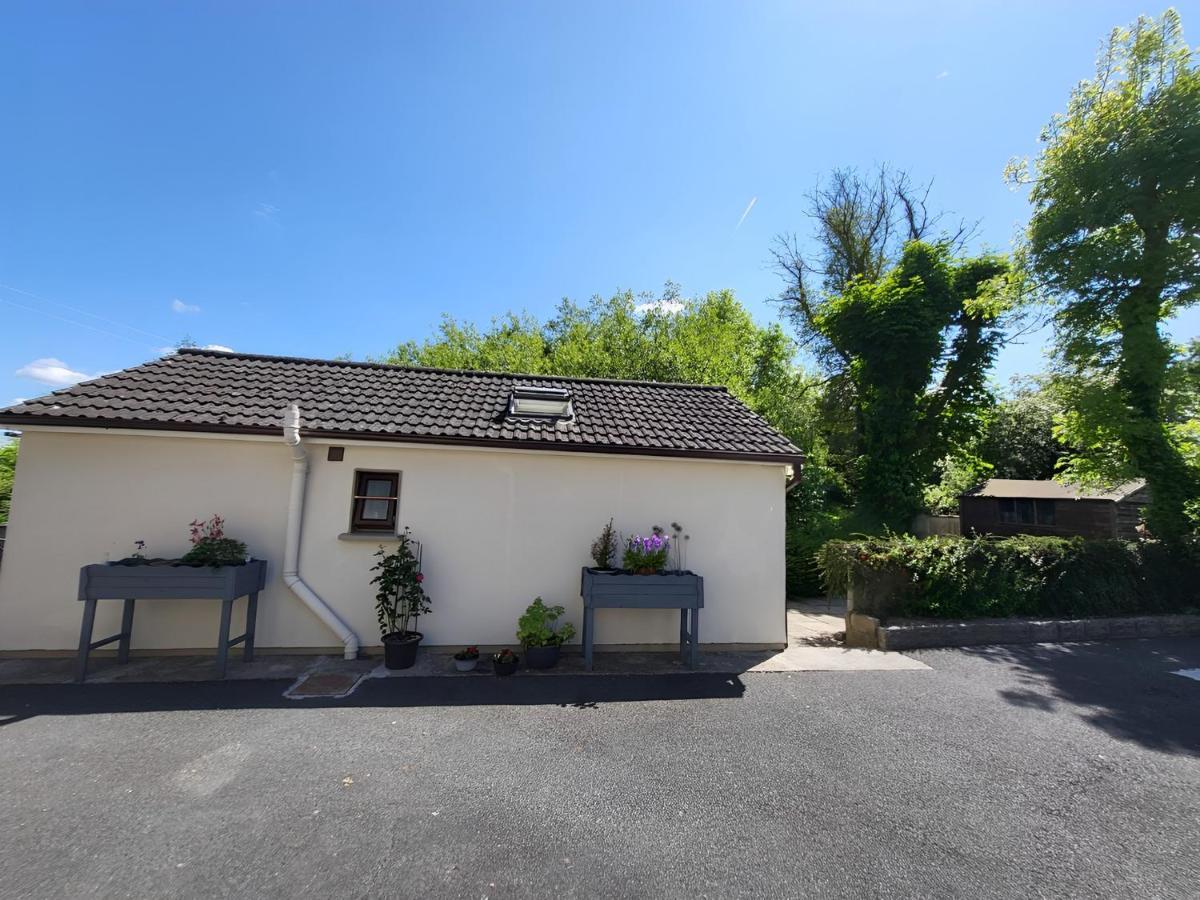 Oak Cottage 3 Km From Rock Of Cashel Cashel (Tipperary) Exterior foto