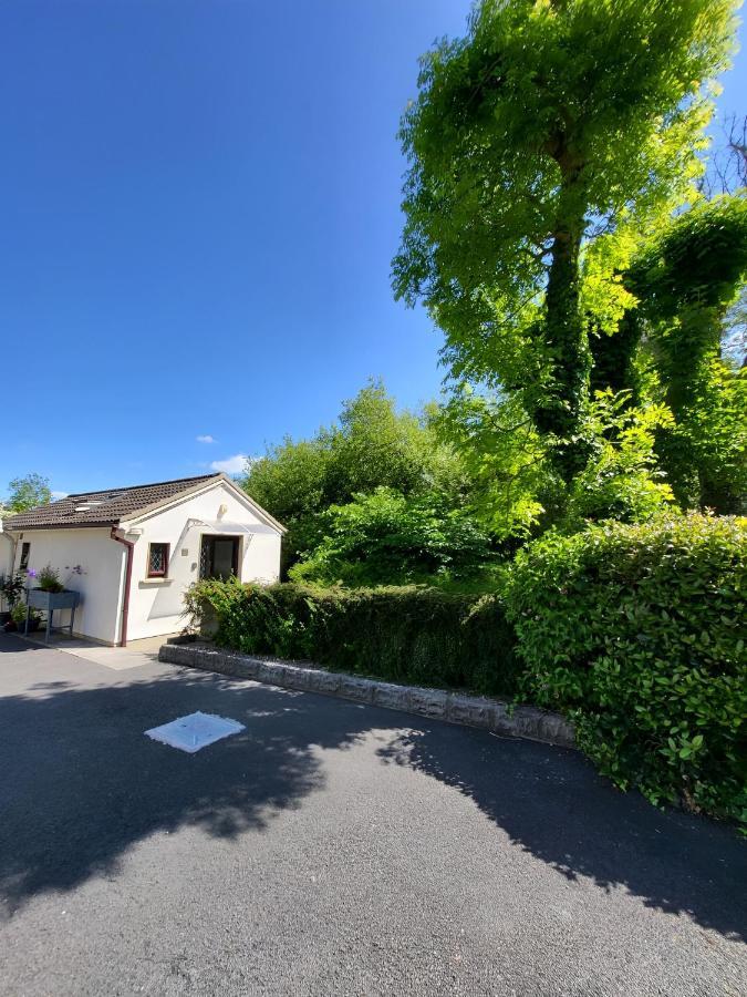 Oak Cottage 3 Km From Rock Of Cashel Cashel (Tipperary) Exterior foto
